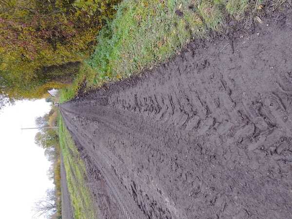 The photo for Swaffham Bulbeck Fen Lane impassable mud.