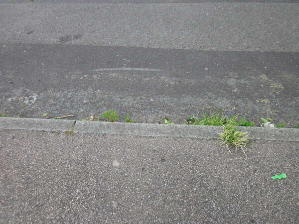 The photo for Dropped kerb needed at Star Lane / cycle path junction.